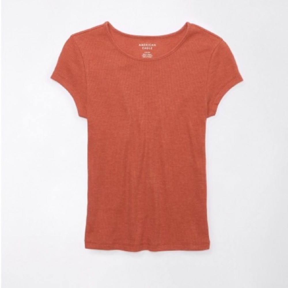 American Eagle Outfitters ribbed baby tee - color compass clay
